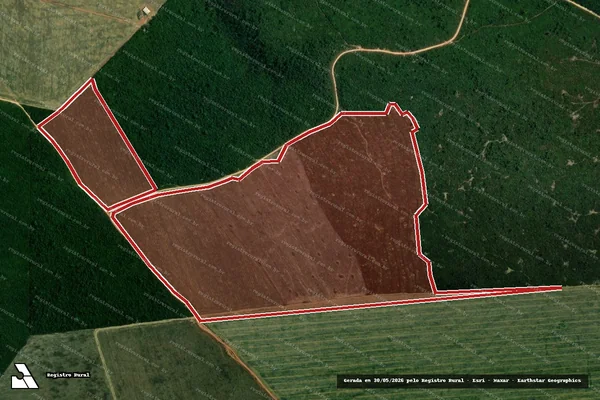 Imagem de satélite de Infração da Flora em Dom Eliseu - PA