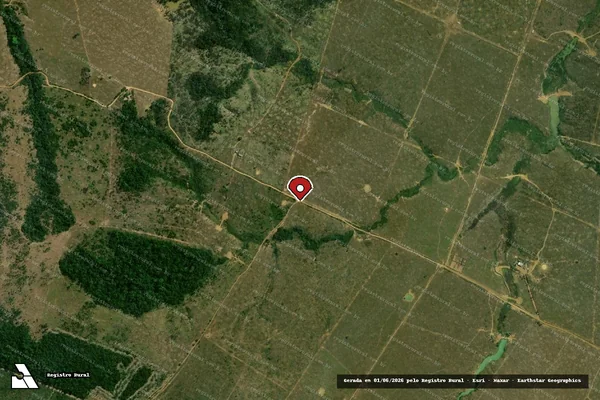 Imagem de satélite de Infração Ambiental em Buritis - RO (marcador da localização)