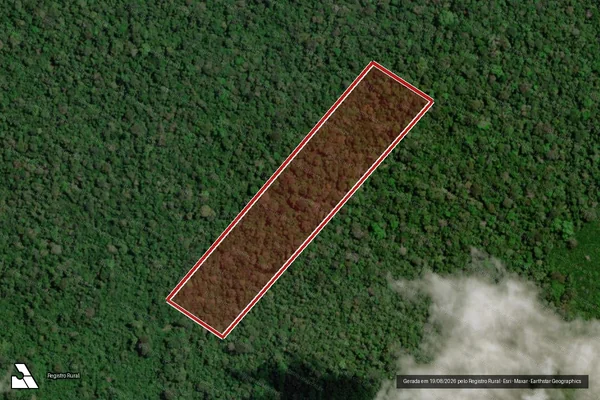 Imagem de satélite de Infração da Flora em São João da Baliza - RR