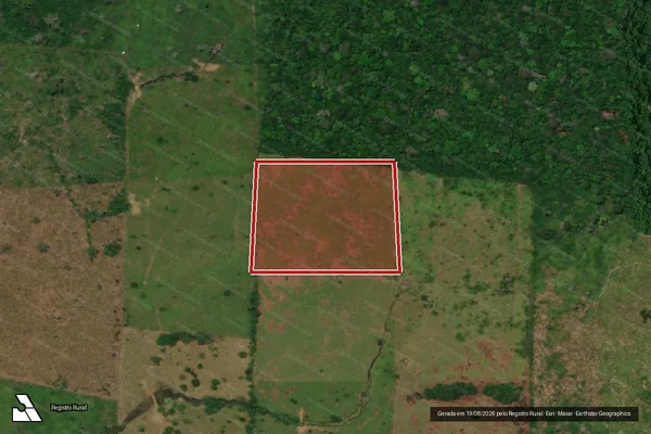 Imagem de satélite de Infração da Flora em Rorainópolis - RR
