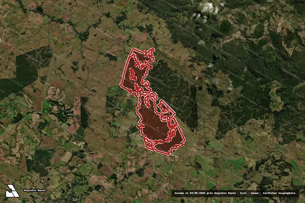 Imagem de satélite — Embargo IBAMA — Infração da Flora - Palmas/PR