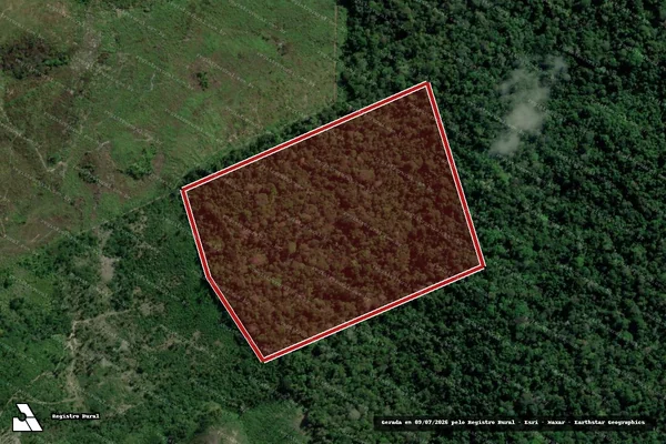 Imagem de satélite de Infração da Flora em Rurópolis - PA