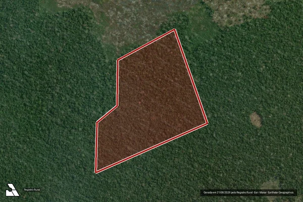 Imagem de satélite de Infração da Flora em Lábrea - AM