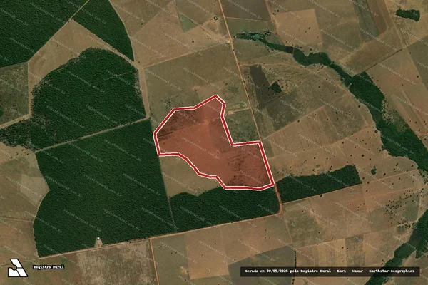 Imagem de satélite de Infração da Flora em Paranatinga - MT