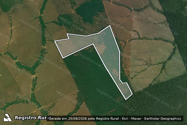 Imagem de satélite de Infração da Flora em Lábrea - AM