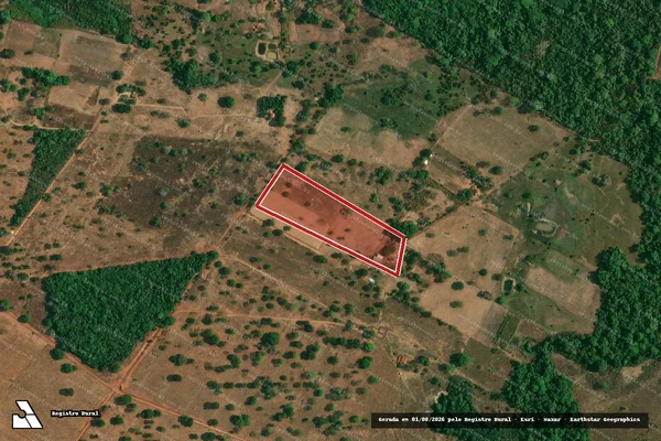 Imagem de satélite de Infração Ambiental em Campos Verdes - GO