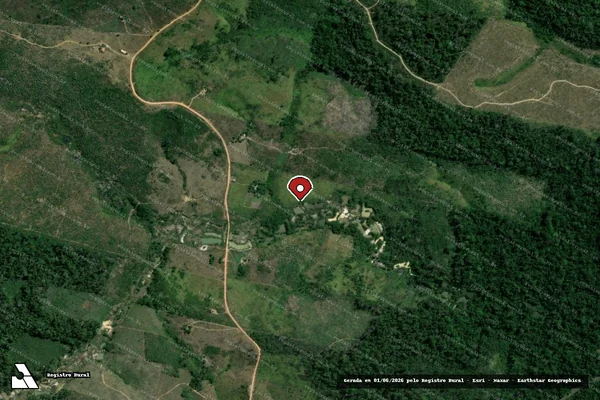 Imagem de satélite de Infração Ambiental em Pacajá - PA (marcador da localização)