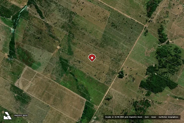 Imagem de satélite de Infração da Flora em Peixoto de Azevedo - MT (marcador da localização)