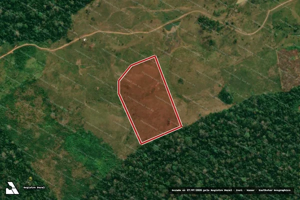 Imagem de satélite de Infração da Flora em Feijó - AC