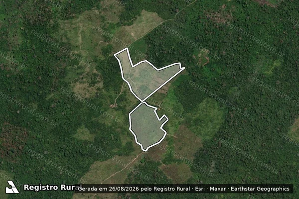 Imagem de satélite — Embargo IBAMA — Infração da Flora - Altamira/PA