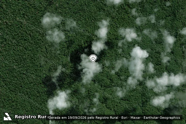 Imagem de satélite — Embargo IBAMA — Infração Ambiental - Apuí/AM