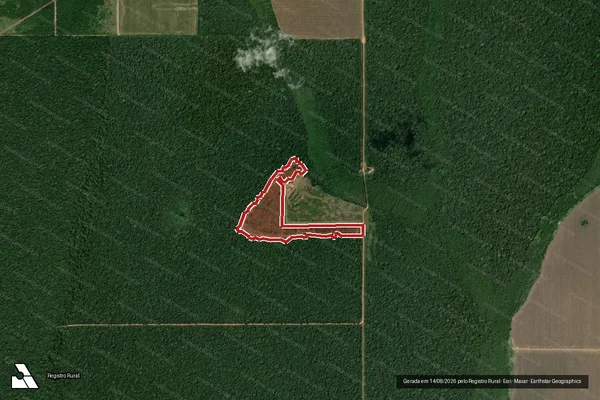 Imagem de satélite de Infração da Flora em Pimenteiras do Oeste - RO