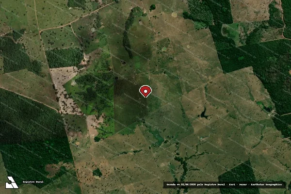 Imagem de satélite — Embargo IBAMA — Infração da Flora — Riachinho/TO