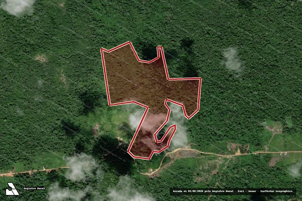 Imagem de satélite de Infração Ambiental em Caracaraí - RR