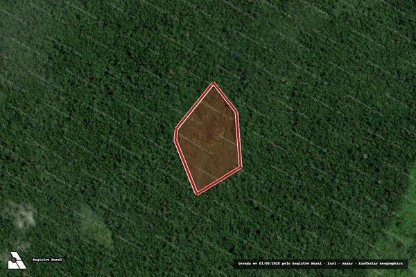 Imagem de satélite de Infração Ambiental em São Félix do Xingu - PA