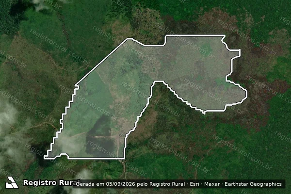 Imagem de satélite de Infração Ambiental em Novo Aripuanã - AM