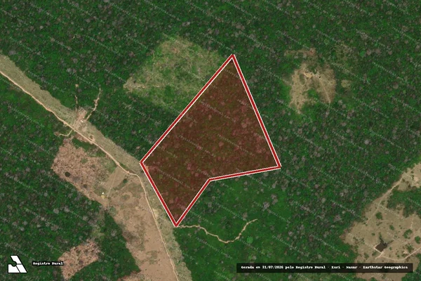 Imagem de satélite de Infração da Flora em Boca do Acre - AM
