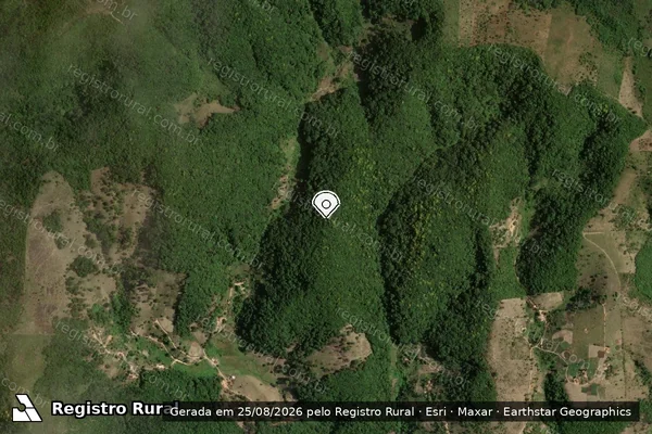 Imagem de satélite de Infração Ambiental em Quebrangulo - AL (marcador da localização)