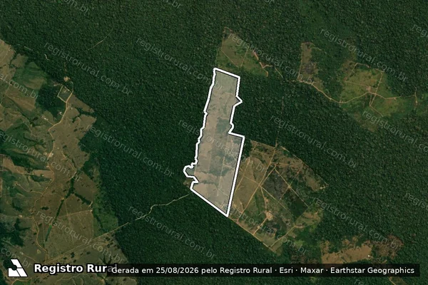 Imagem de satélite de Infração da Flora em Rio Branco - AC