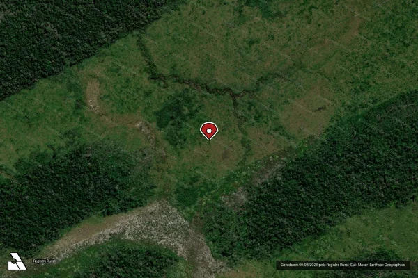 Imagem de satélite de Infração da Flora em Porto Velho - RO (marcador da localização)