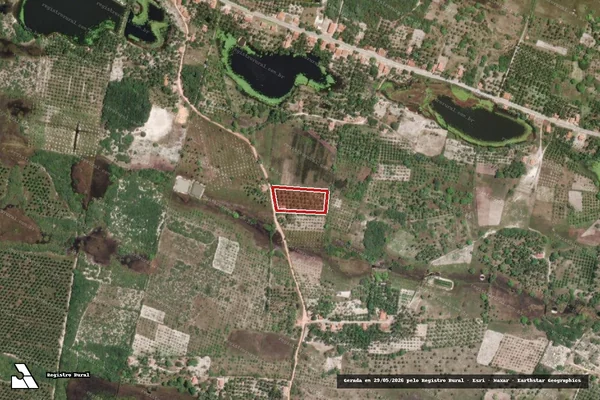 Imagem de satélite — Embargo Ambiental — Amontada/CE
