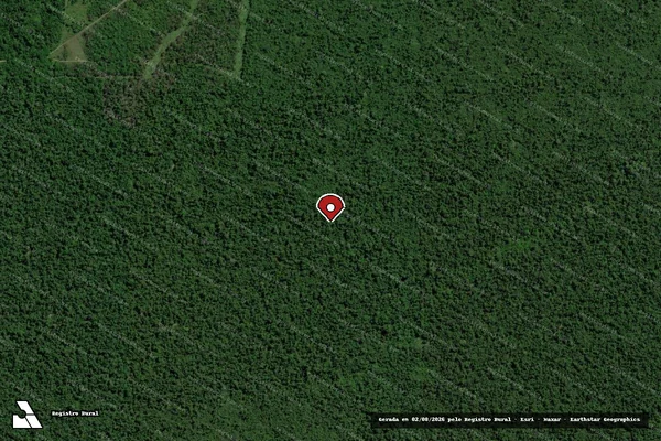 Imagem de satélite de Infração Ambiental em Tailândia - PA (marcador da localização)