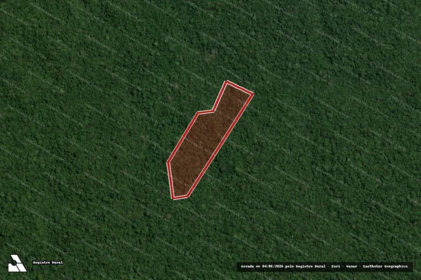 Imagem de satélite de Infração Ambiental em Portel - PA
