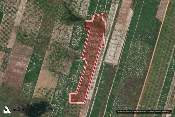 Imagem de satélite — Embargo IBAMA — Infração da Flora - Itarema/CE