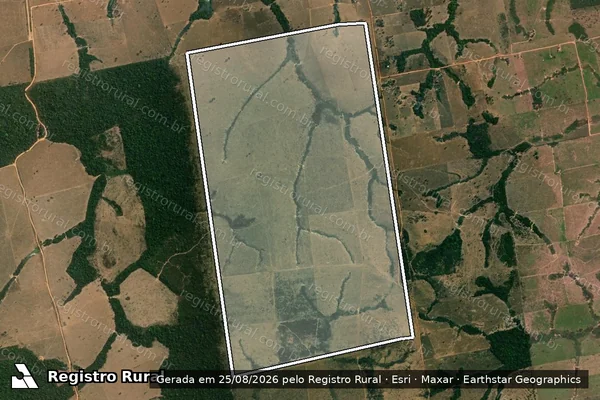 Imagem de satélite de Infração da Flora em Nova Monte Verde - MT