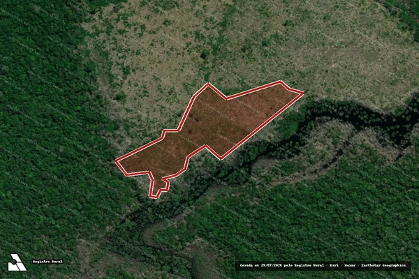 Imagem de satélite de Infração da Flora em Brasília - DF
