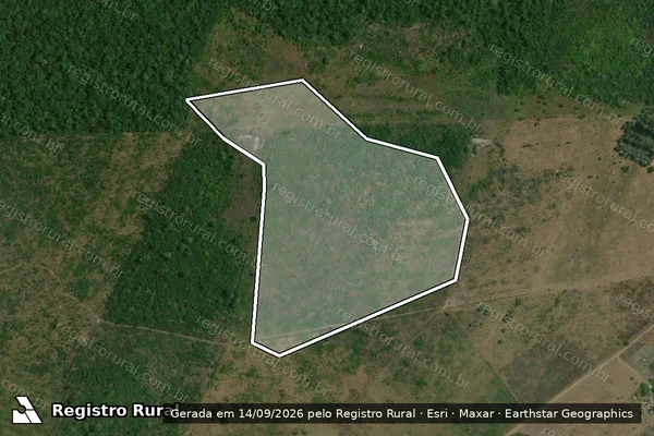 Imagem de satélite de Infração da Flora em Iracema - RR