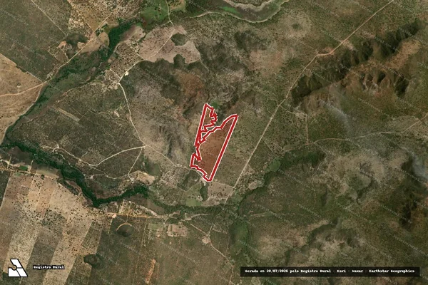 Imagem de satélite — Embargo IBAMA — Infração da Flora — Mambaí/GO