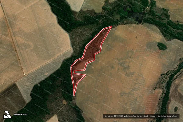 Imagem de satélite de Infração Ambiental em Silvanópolis - TO