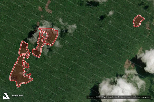 Imagem de satélite — Embargo IBAMA — Infração da Flora — Caracaraí/RR