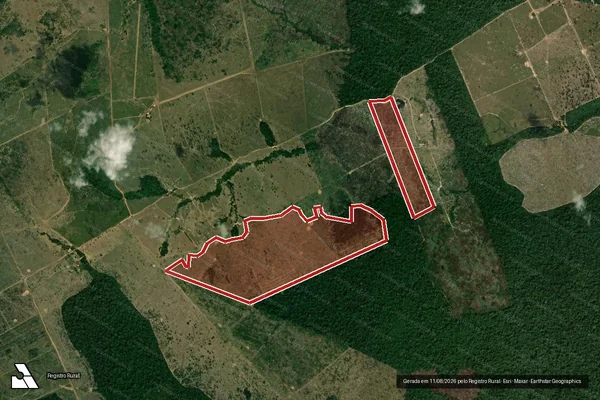 Imagem de satélite de Infração da Flora em Manicoré - AM