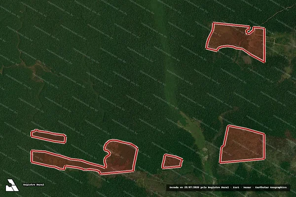 Imagem de satélite de Infração da Flora em Novo Aripuanã - AM