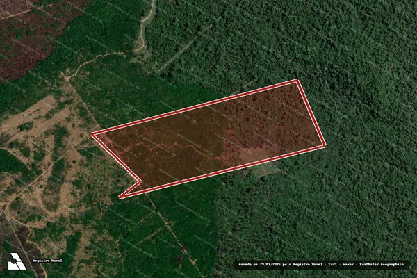 Imagem de satélite de Infração da Flora em Altamira - PA