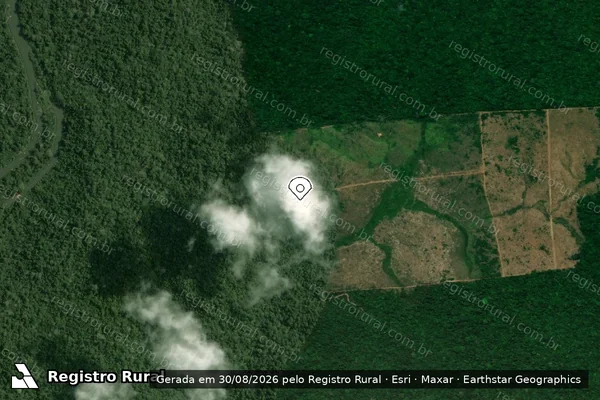 Imagem de satélite de Infração da Flora em Pacajá - PA (marcador da localização)