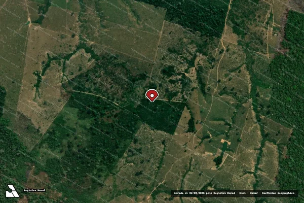 Imagem de satélite de Infração da Flora em Boca do Acre - AM (marcador da localização)