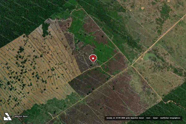 Imagem de satélite de Infração Ambiental em Porto Velho - RO (marcador da localização)