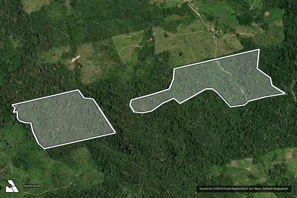 Imagem de satélite de Infração da Flora em Uruará - PA