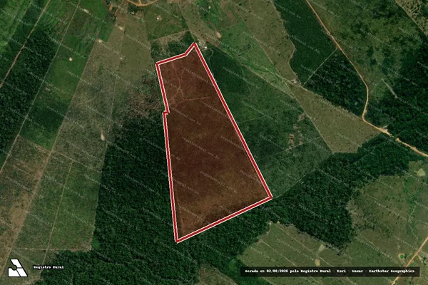 Imagem de satélite de Infração da Flora em Porto Velho - RO