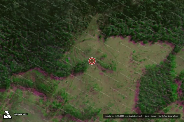 Imagem de satélite de Infração Ambiental em Reserva do Iguaçu - PR