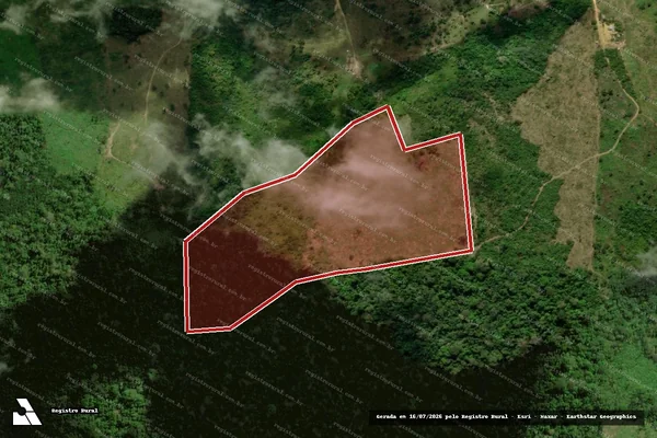 Imagem de satélite de Infração da Flora em Itupiranga - PA