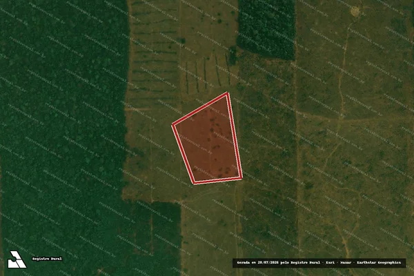 Imagem de satélite de Infração Ambiental em Alto Paraíso - RO