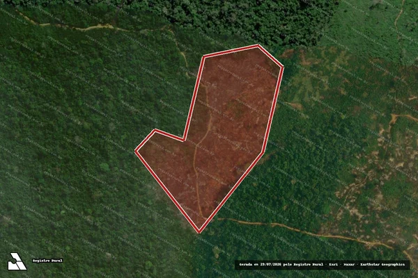 Imagem de satélite de Infração Ambiental em Novo Progresso - PA