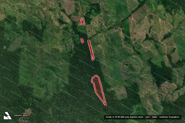 Imagem de satélite de Infração da Flora em Senador José Porfírio - PA
