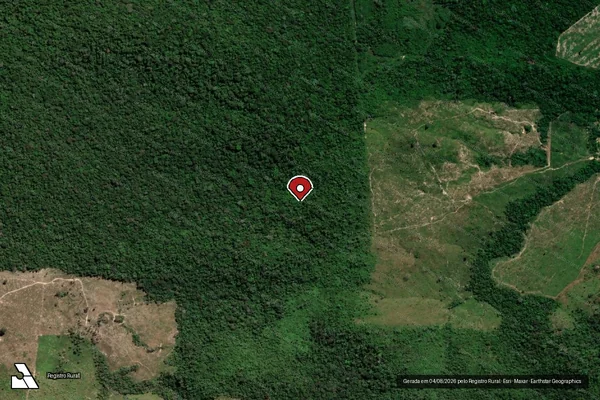 Imagem de satélite de Infração Ambiental em Paranaíta - MT (marcador da localização)