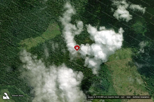 Imagem de satélite de Infração da Flora em Manaus - AM (marcador da localização)