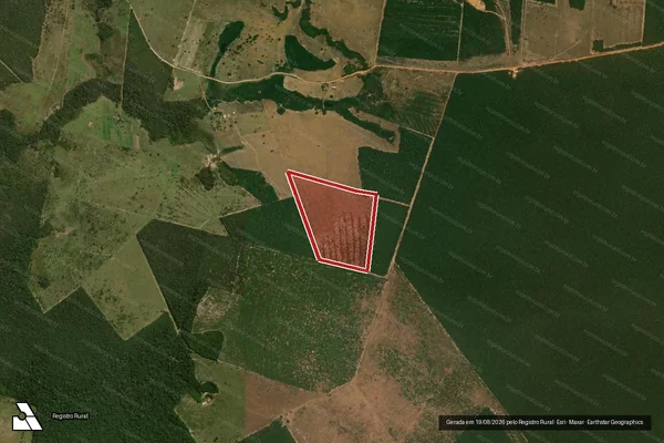 Imagem de satélite — Embargo IBAMA — Infração da Flora - Comodoro/MT